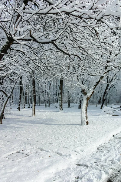 Fantastisk Vinter Utsikt Över South Park Staden Sofia Bulgarien — Stockfoto