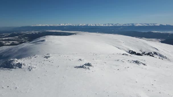 Aerial Winter View Vitosha Mountain Cherni Vrah Peak Sofia City — Stock Video