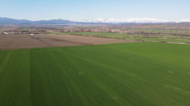 Αεροφωτογραφία Άνοιξη Της Αγροτικής Γης Κοντά Στην Πόλη Hisarya Plovdiv — Αρχείο Βίντεο