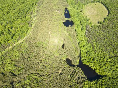 Sofya Bölgesi, Bulgaristan 'daki Lozenska Dağı' ndaki Sua Gabra Gölleri 'nin hava manzarası