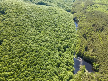 Sofya Bölgesi, Bulgaristan 'daki Lozenska Dağı' ndaki Sua Gabra Gölleri 'nin hava manzarası
