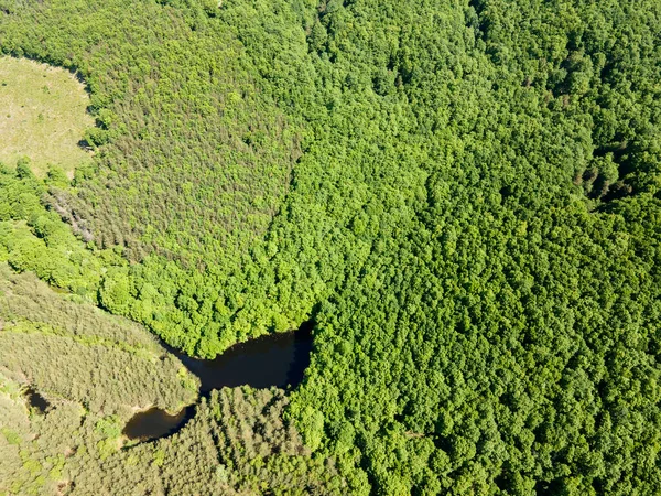 Luftaufnahme Der Sua Gabra Seen Auf Dem Lozenska Gebirge Sofia — Stockfoto