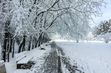 Bulgaristan 'ın Sofya kentindeki South Park' ın şaşırtıcı kış manzarası