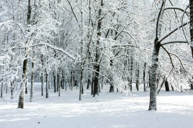 Bulgaristan 'ın Sofya kentindeki South Park' ın şaşırtıcı kış manzarası