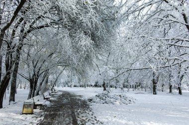 Bulgaristan 'ın Sofya kentindeki South Park' ın şaşırtıcı kış manzarası