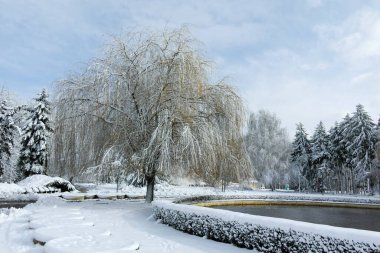 Bulgaristan 'ın Sofya kentindeki South Park' ın şaşırtıcı kış manzarası