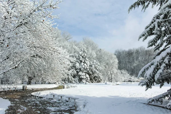 Niesamowity Widok Park Południowy Mieście Sofia Bułgaria — Zdjęcie stockowe