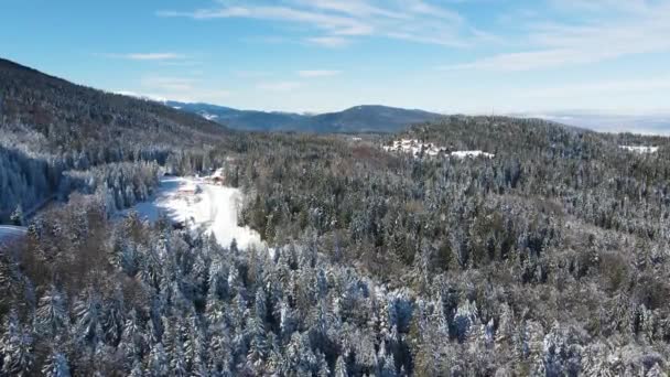 Zimowy Widok Lotu Ptaka Rila Mountain Pobliżu Ośrodka Narciarskiego Borovets — Wideo stockowe