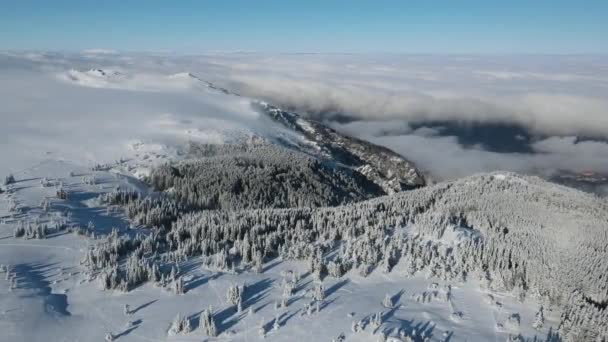 Zimowy Widok Lotu Ptaka Górę Vitosha Obwód Sofijski Bułgaria — Wideo stockowe