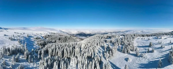 Flygfoto Vinterpanorama Över Vitosha Mountain Sofia City Region Bulgarien — Stockfoto