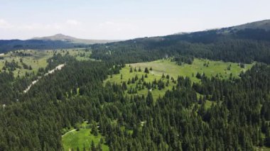 Bulgaristan 'ın Sofya Şehir Bölgesi, Vitosha Dağı' ndaki Konyarnika bölgesinin havadan görüntüsü
