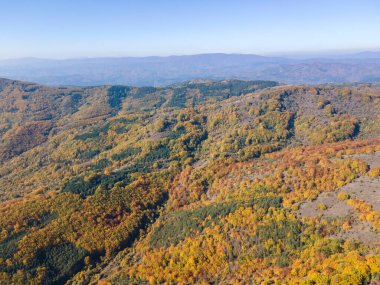 Bulgaristan 'ın Pernik Bölgesi Golemi zirvesi yakınlarındaki Erul dağının şaşırtıcı sonbahar manzarası