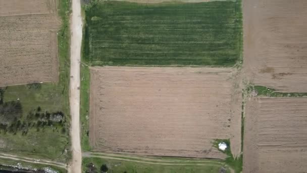 Αεροφωτογραφία Της Αγροτικής Γης Στην Άνω Θρακική Πεδιάδα Κοντά Στο — Αρχείο Βίντεο