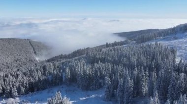Bulgaristan 'ın Sofya Şehir Bölgesi, Vitosha Dağı' nın Hava Kış Manzarası