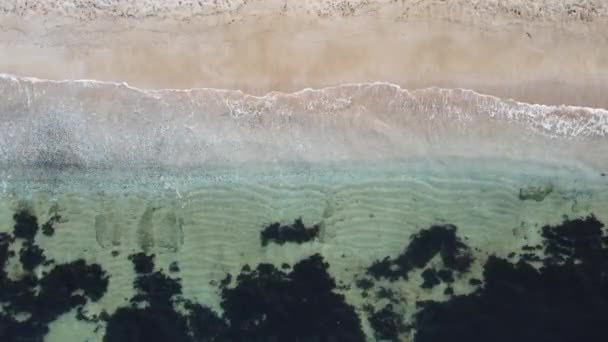 Вид Пляж Водія Біля Курорту Дюні Бургаська Область Болгарія — стокове відео