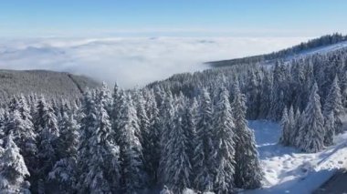 Bulgaristan 'ın Sofya Şehir Bölgesi, Vitosha Dağı' nın Hava Kış Manzarası