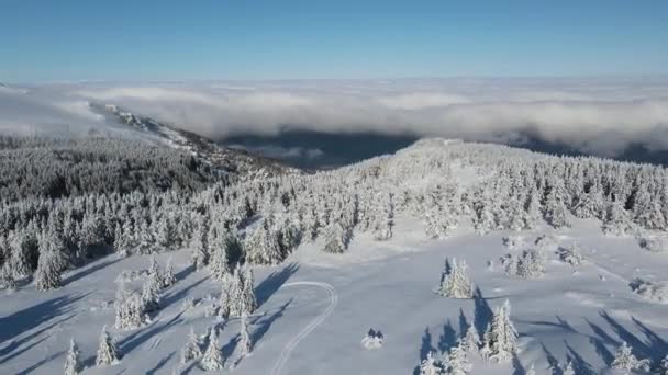 Flygfoto Vinter Utsikt Över Vitosha Mountain Sofia City Region Bulgarien — Stockvideo
