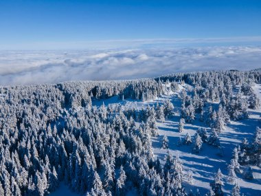 Bulgaristan 'ın Sofya Şehir Bölgesi, Vitosha Dağı' nın Hava Kış Manzarası