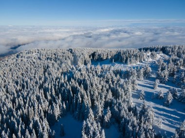 Bulgaristan 'ın Sofya Şehir Bölgesi, Vitosha Dağı' nın Hava Kış Manzarası