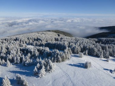 Bulgaristan 'ın Sofya Şehir Bölgesi, Vitosha Dağı' nın Hava Kış Manzarası