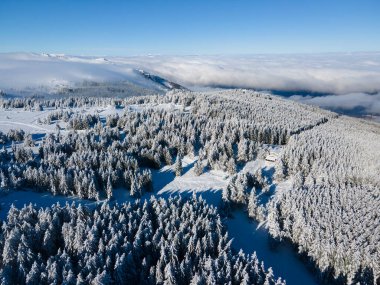 Bulgaristan 'ın Sofya Şehir Bölgesi, Vitosha Dağı' nın Hava Kış Manzarası