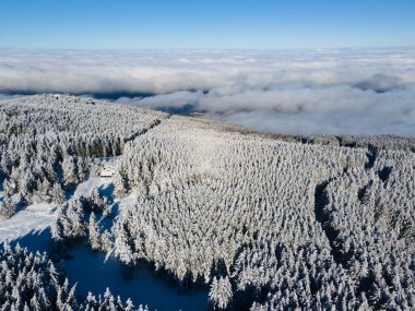 Bulgaristan 'ın Sofya Şehir Bölgesi, Vitosha Dağı' nın Hava Kış Manzarası