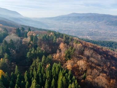 Bulgaristan 'ın Kyustendil bölgesindeki Bogoslov köyü yakınlarındaki Eski Sequoia ormanlarının hava manzarası