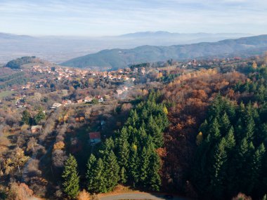 Bulgaristan 'ın Kyustendil bölgesindeki Bogoslov köyü yakınlarındaki Eski Sequoia ormanlarının hava manzarası