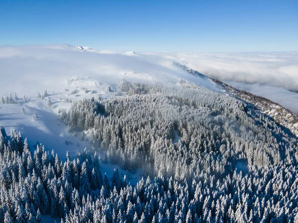 Zimowy Widok Lotu Ptaka Górę Vitosha Obwód Sofijski Bułgaria — Zdjęcie stockowe