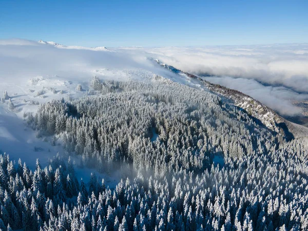 Letecký Zimní Pohled Horu Vitosha Sofijský Kraj Bulharsko — Stock fotografie