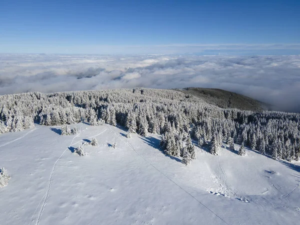 Vue Aérienne Hiver Montagne Vitosha Région Sofia Bulgarie — Photo