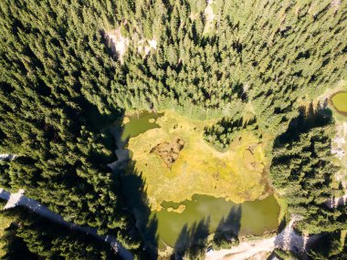 Bulgaristan 'ın Smolyan Bölgesi, Rodop Dağları' ndaki Smolyan göllerinin hava manzarası