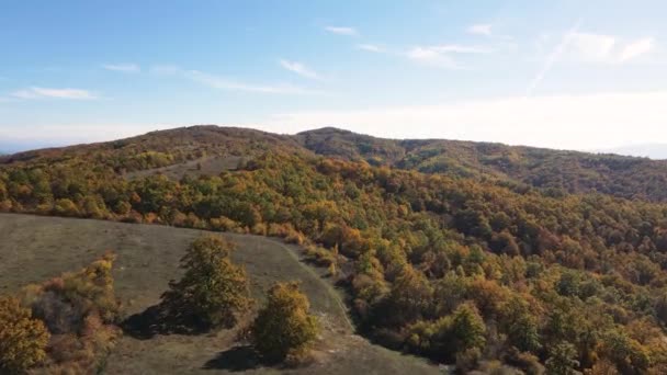 Paisaje Otoñal Montaña Cherna Gora Monte Negro Región Pernik Bulgaria — Vídeos de Stock
