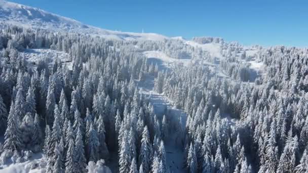 Zimowy Widok Lotu Ptaka Górę Vitosha Obwód Sofijski Bułgaria — Wideo stockowe