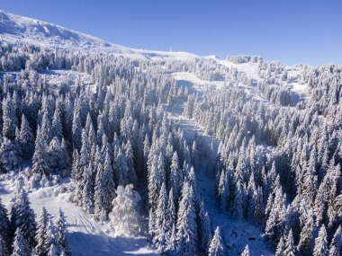 Bulgaristan 'ın Sofya Şehir Bölgesi, Vitosha Dağı' nın Hava Kış Manzarası