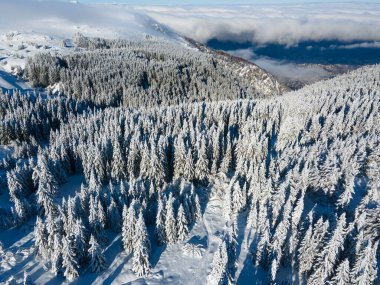 Bulgaristan 'ın Sofya Şehir Bölgesi, Vitosha Dağı' nın Hava Kış Manzarası