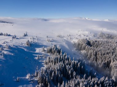 Bulgaristan 'ın Sofya Şehir Bölgesi, Vitosha Dağı' nın Hava Kış Manzarası