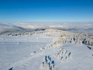 Bulgaristan 'ın Sofya Şehir Bölgesi, Vitosha Dağı' nın Hava Kış Manzarası
