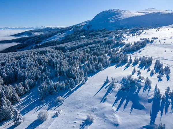 Vista Aérea Inverno Montanha Vitosha Região Cidade Sofia Bulgária — Fotografia de Stock