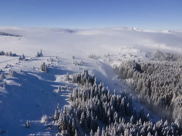 Aerial Winter View Vitosha Mountain Περιφέρεια Πόλης Της Σόφιας Βουλγαρία — Φωτογραφία Αρχείου