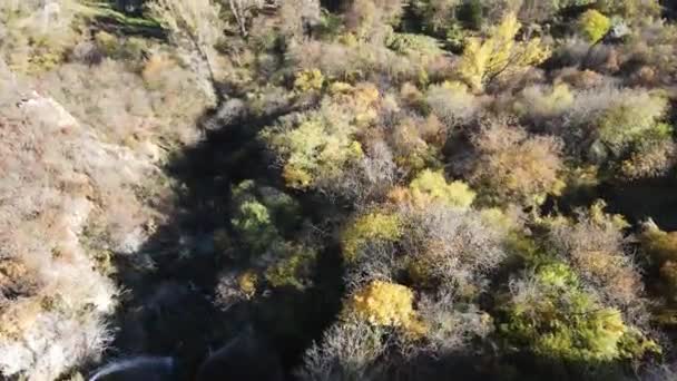 Vista Aérea Outono Cachoeira Polska Skakavitsa Montanha Zemen Região Kyustendil — Vídeo de Stock