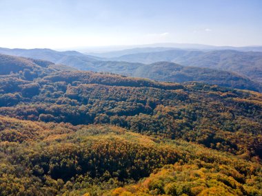 Bulgaristan 'ın Pernik Bölgesi, Kamenititsa zirvesi yakınlarındaki Erul dağının şaşırtıcı sonbahar manzarası