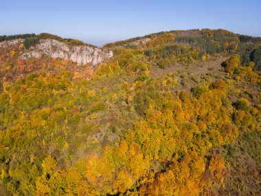 Bulgaristan 'ın Pernik Bölgesi, Kamenititsa zirvesi yakınlarındaki Erul dağının şaşırtıcı sonbahar manzarası