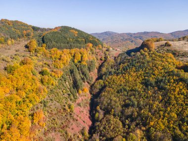 Bulgaristan 'ın Pernik Bölgesi, Kamenititsa zirvesi yakınlarındaki Erul dağının şaşırtıcı sonbahar manzarası