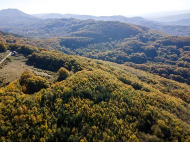 Bulgaristan 'ın Pernik Bölgesi, Kamenititsa zirvesi yakınlarındaki Erul dağının şaşırtıcı sonbahar manzarası