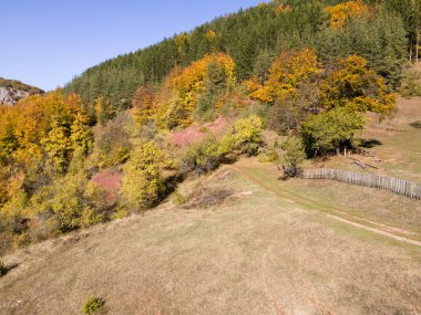 Bulgaristan 'ın Pernik Bölgesi, Kamenititsa zirvesi yakınlarındaki Erul dağının şaşırtıcı sonbahar manzarası