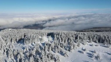 Bulgaristan 'ın Sofya Şehir Bölgesi, Vitosha Dağı' nın Hava Kış Manzarası