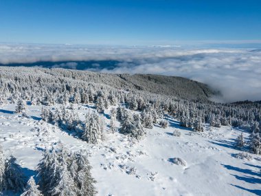Bulgaristan 'ın Sofya Şehir Bölgesi, Vitosha Dağı' nın Hava Kış Manzarası