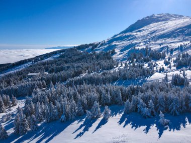 Bulgaristan 'ın Sofya Şehir Bölgesi, Vitosha Dağı' nın Hava Kış Manzarası