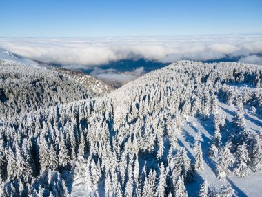Bulgaristan 'ın Sofya Şehir Bölgesi, Vitosha Dağı' nın Hava Kış Manzarası